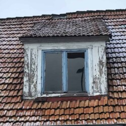 Alte Flora und „Jaki“